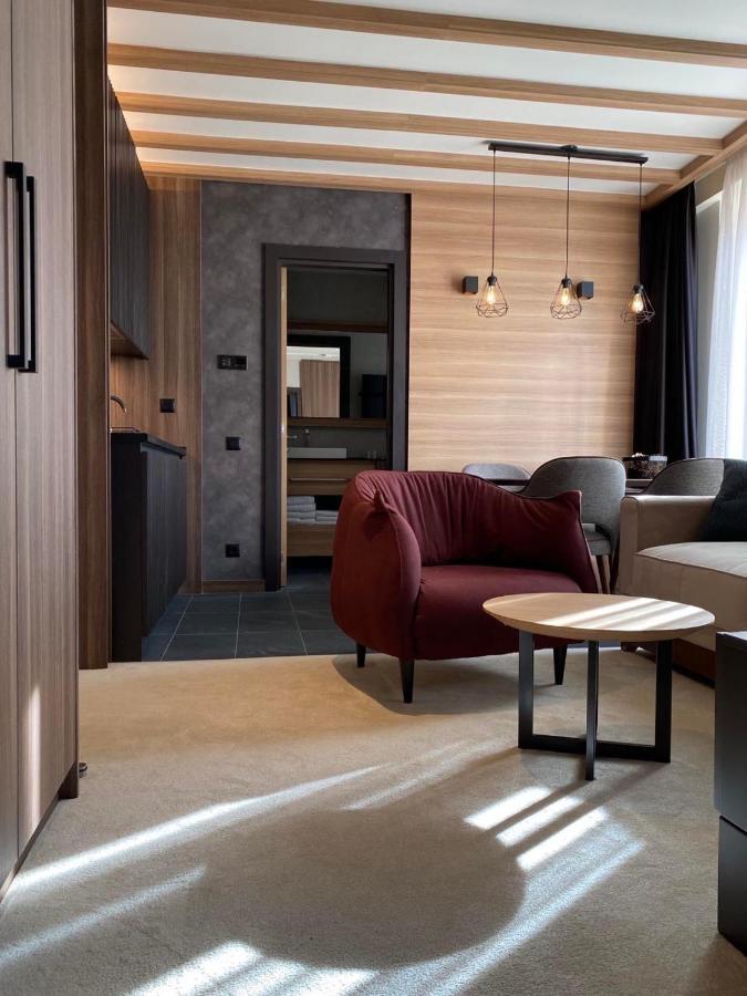 Woodside Apartment 431, Kopaonik - One Separate Bedroom 35M2- Free Parking & Spa Buitenkant foto