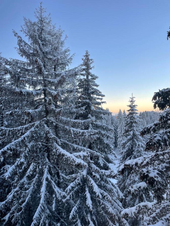 Woodside Apartment 431, Kopaonik - One Separate Bedroom 35M2- Free Parking & Spa Buitenkant foto